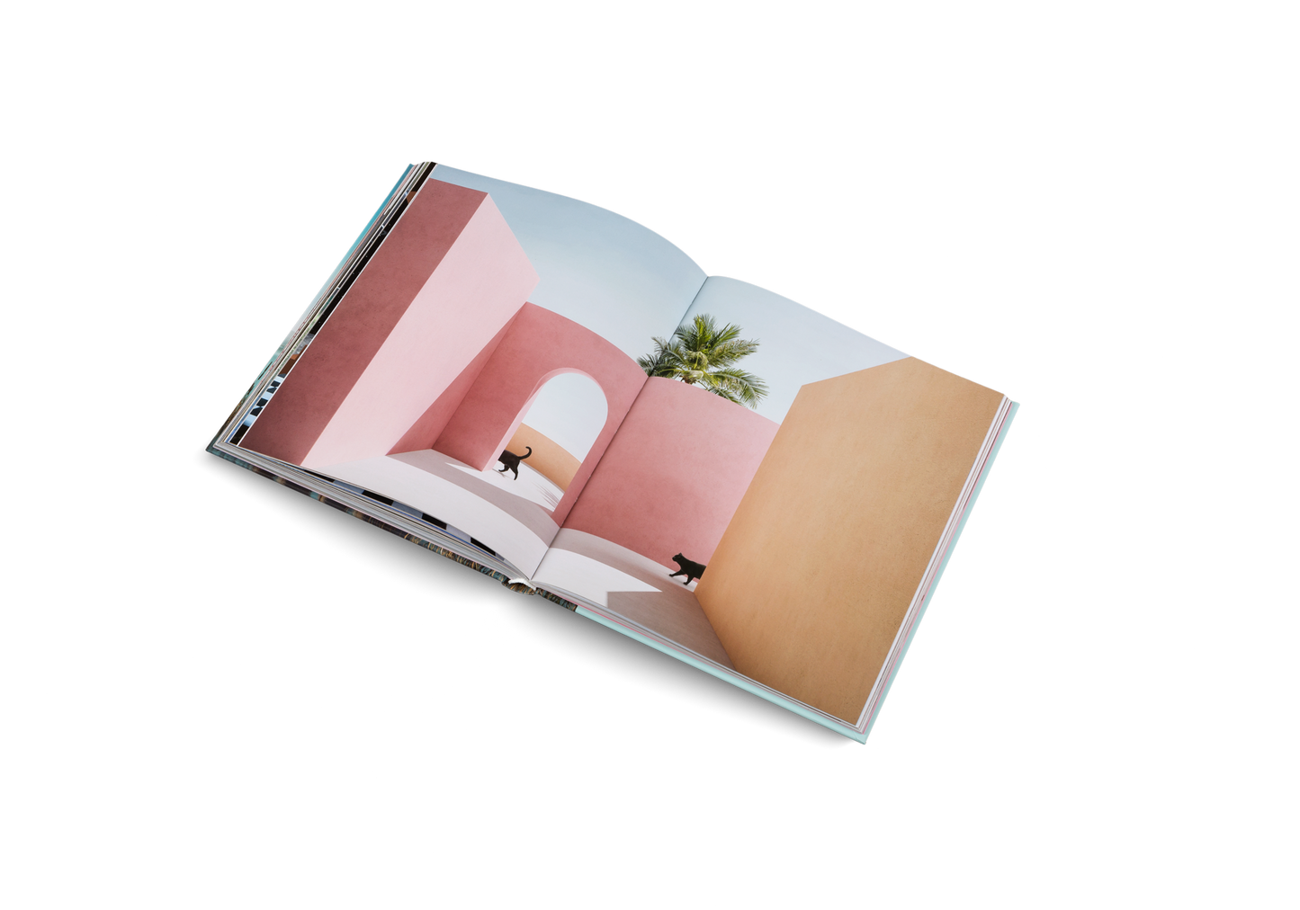 Dreamscapes & Artificial Architecture Book