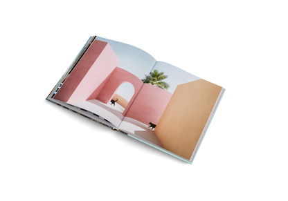 Dreamscapes & Artificial Architecture Book