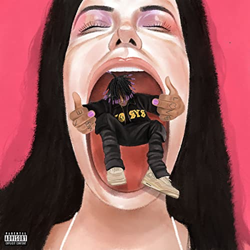 F*CK YOUR FEELINGS [Pink LP] [Vinyl] Vinyl Record