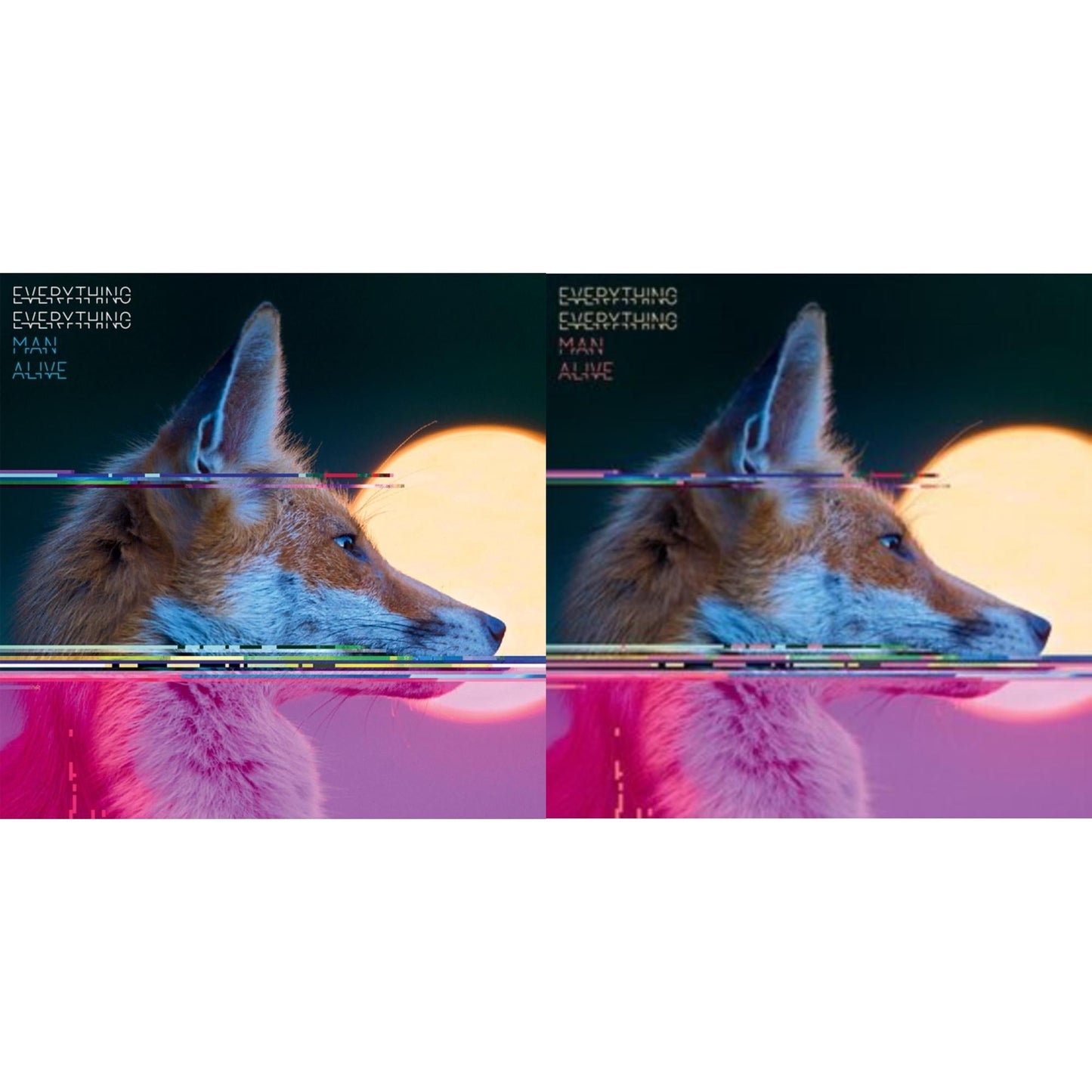 Everything Everything - Man Alive & Man Alive (Deluxe Edition) (2LP)