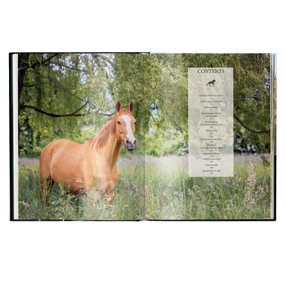 Equestrian - The Ultimate Book