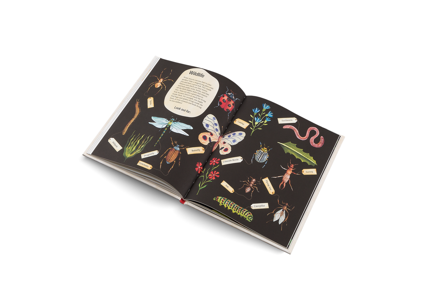 Easy Peasy Book