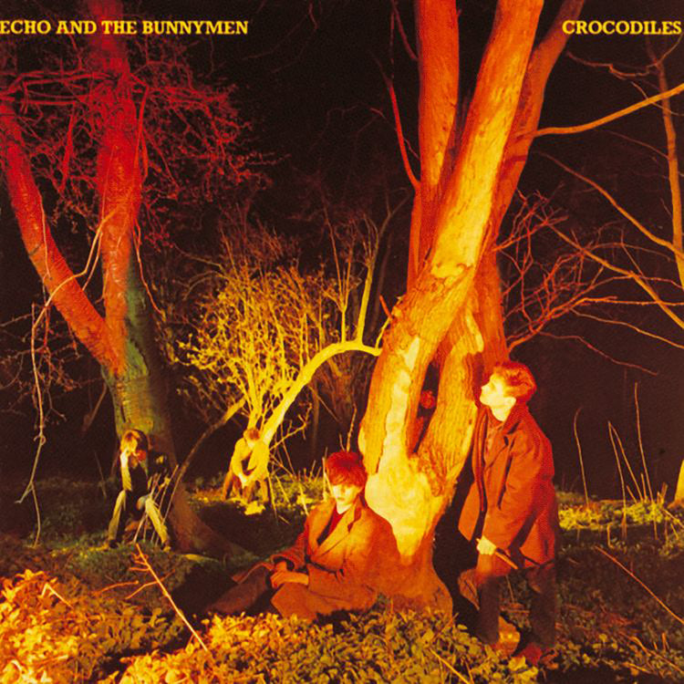 Crocodiles (1LP) [ROCKTOBER EXCLUSIVE] [Vinyl] Vinyl Record