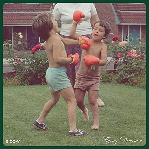 Flying Dream 1 [LP] [Vinyl] Vinyl Record