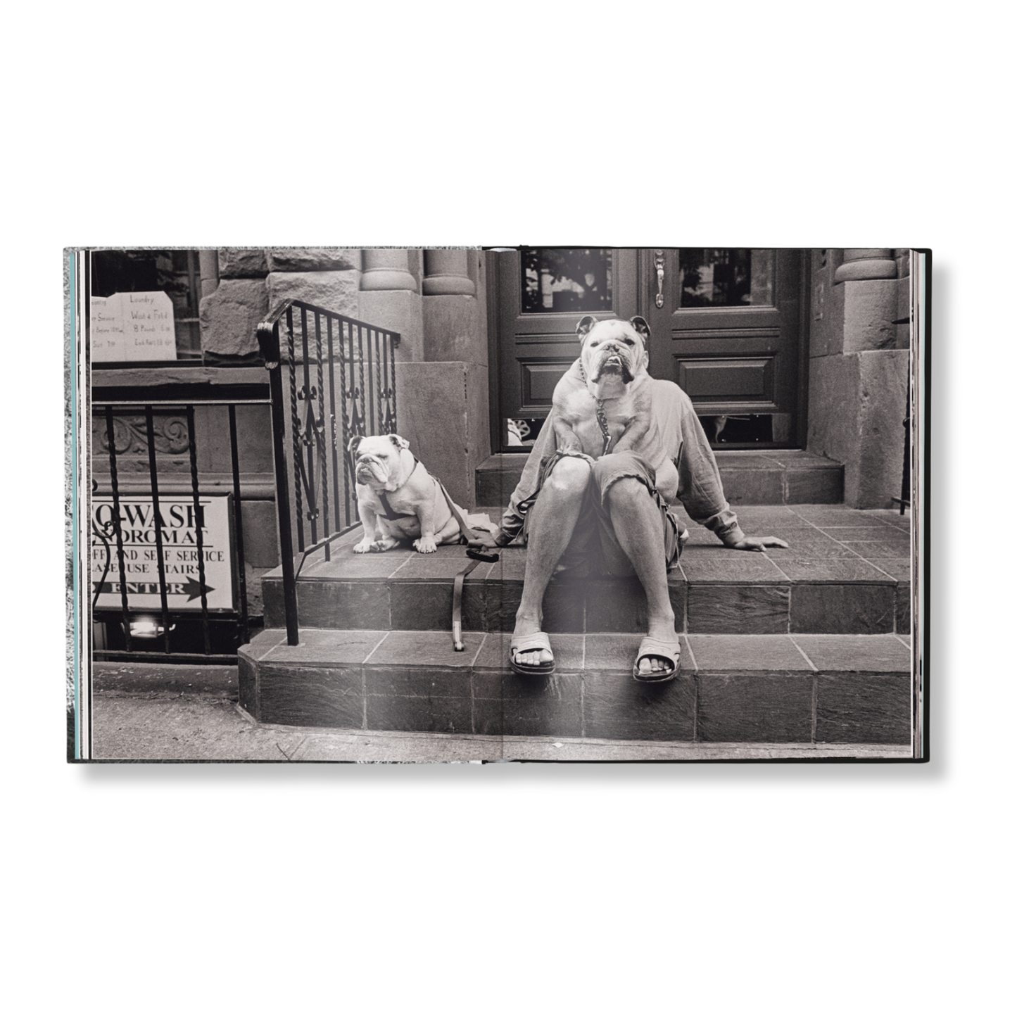 Elliott Erwitt: Last Laughs Book