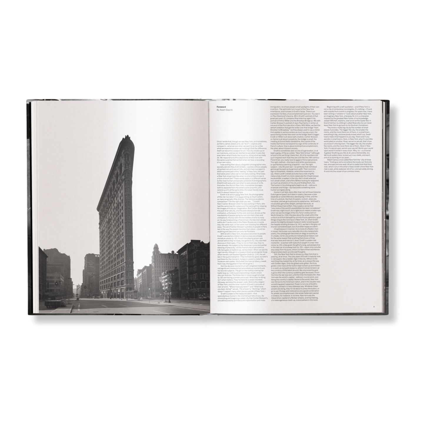 Elliott Erwitt's New York Book
