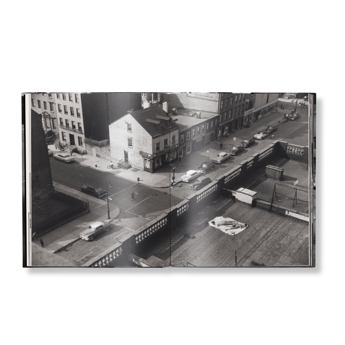 Elliott Erwitt's New York Book