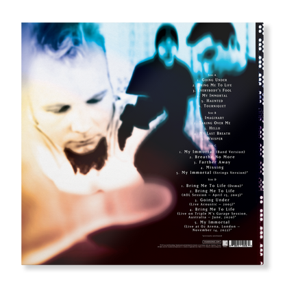 Fallen - 20th Anniversary Edition (2-LP Black Vinyl) Vinyl Record