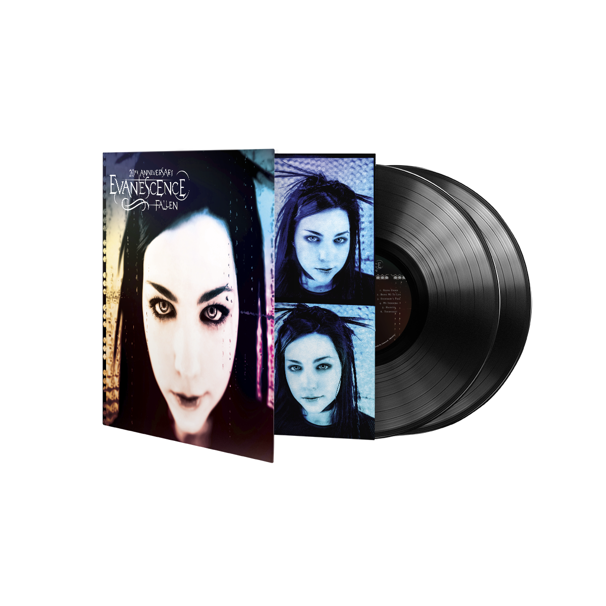 Fallen - 20th Anniversary Edition (2-LP Black Vinyl) Vinyl Record
