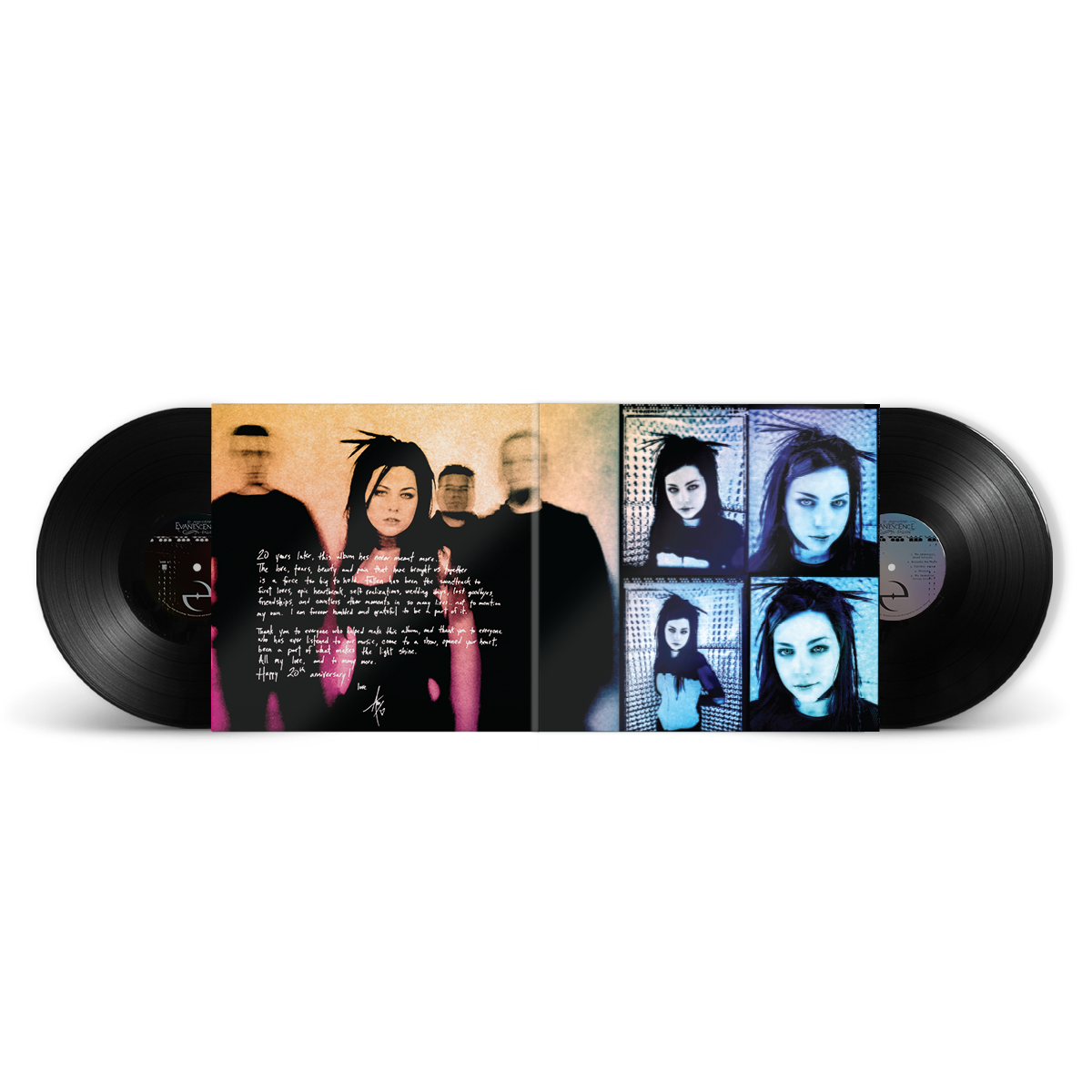 Fallen - 20th Anniversary Edition (2-LP Black Vinyl) Vinyl Record