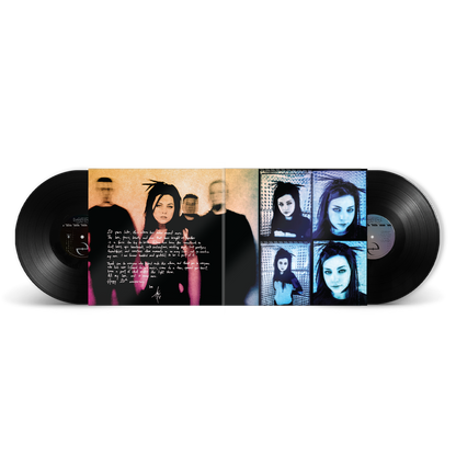 Fallen - 20th Anniversary Edition (2-LP Black Vinyl) Vinyl Record