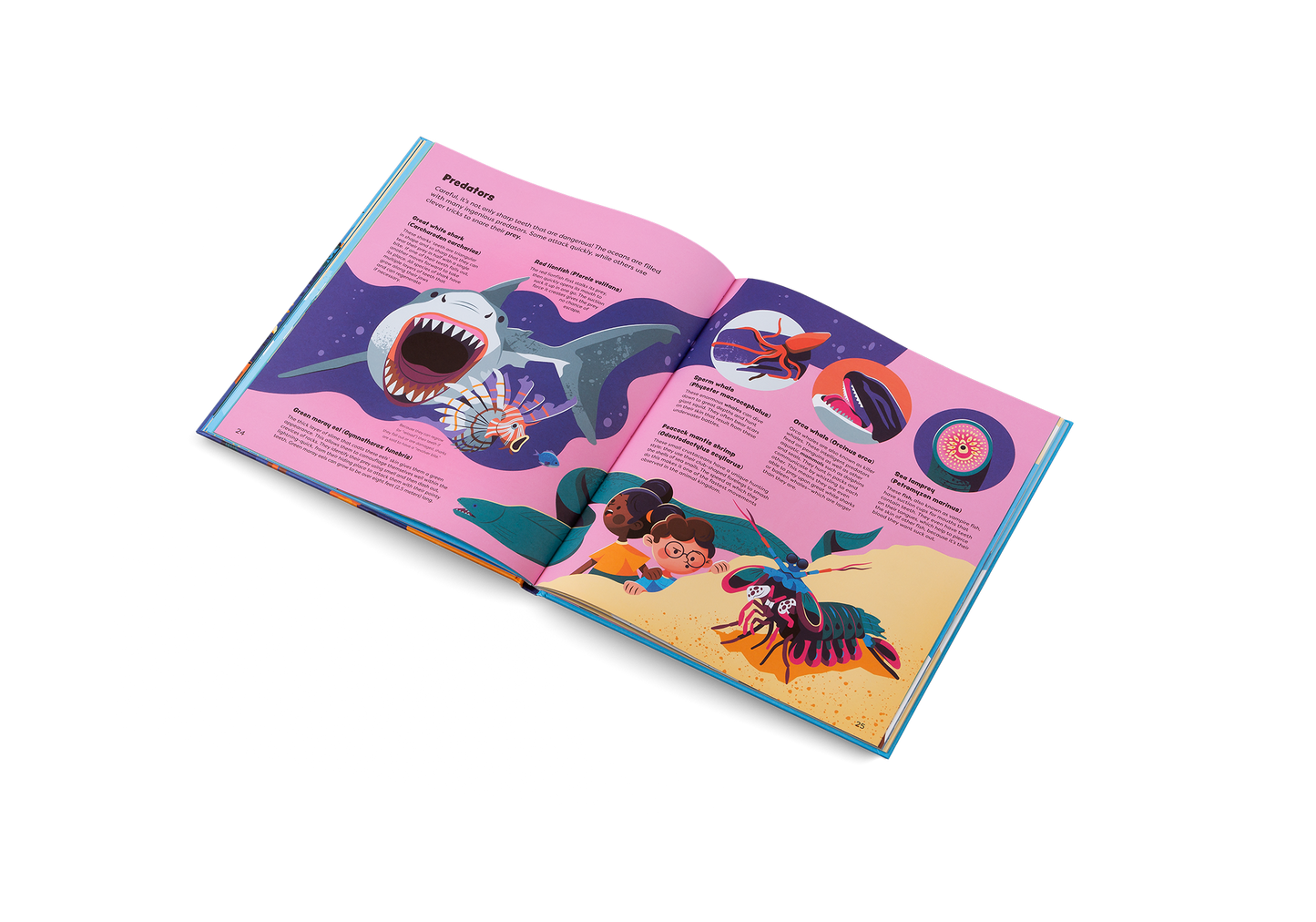 Explore the Ocean Book