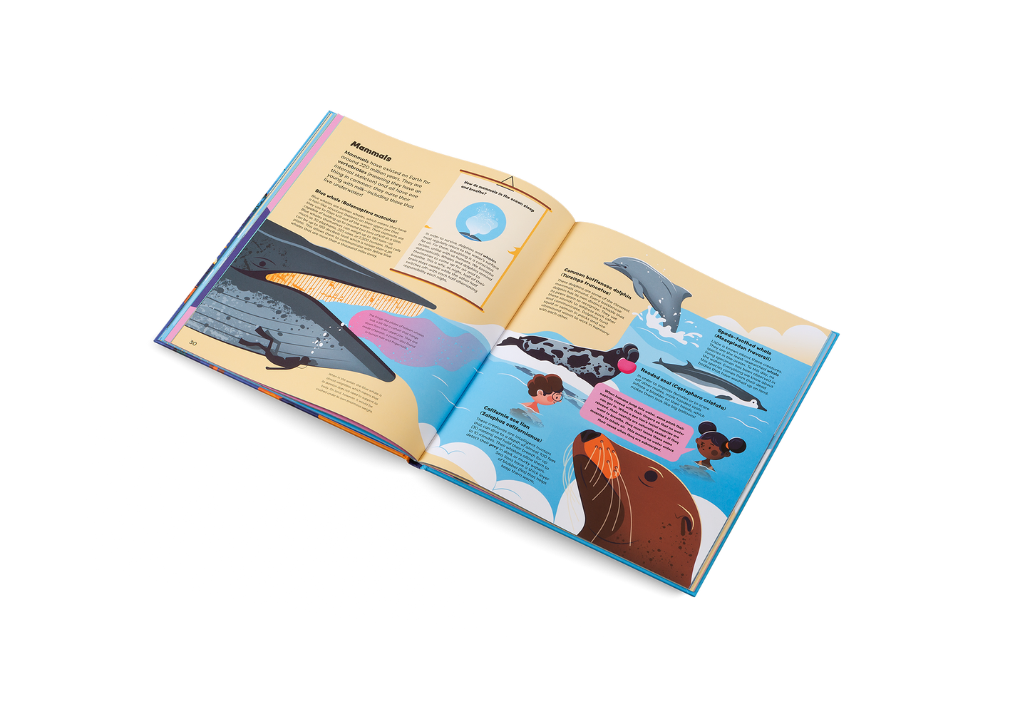 Explore the Ocean Book