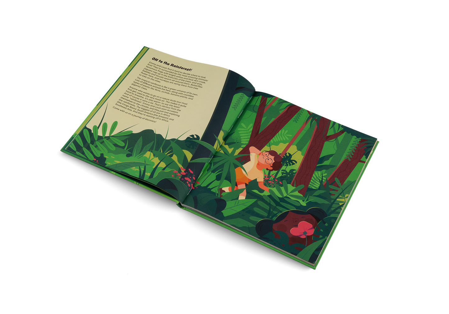 Explore the Rainforest Books
