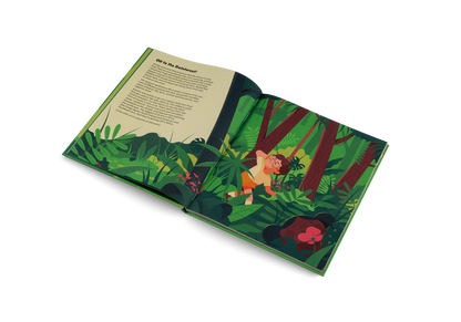 Explore the Rainforest Books