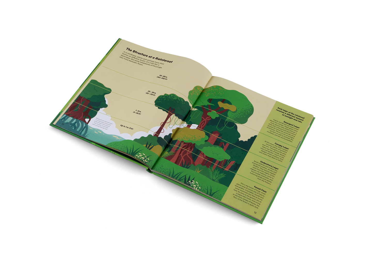 Explore the Rainforest Books