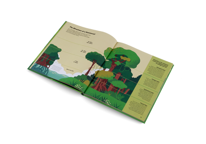 Explore the Rainforest Books