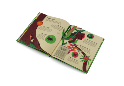 Explore the Rainforest Books