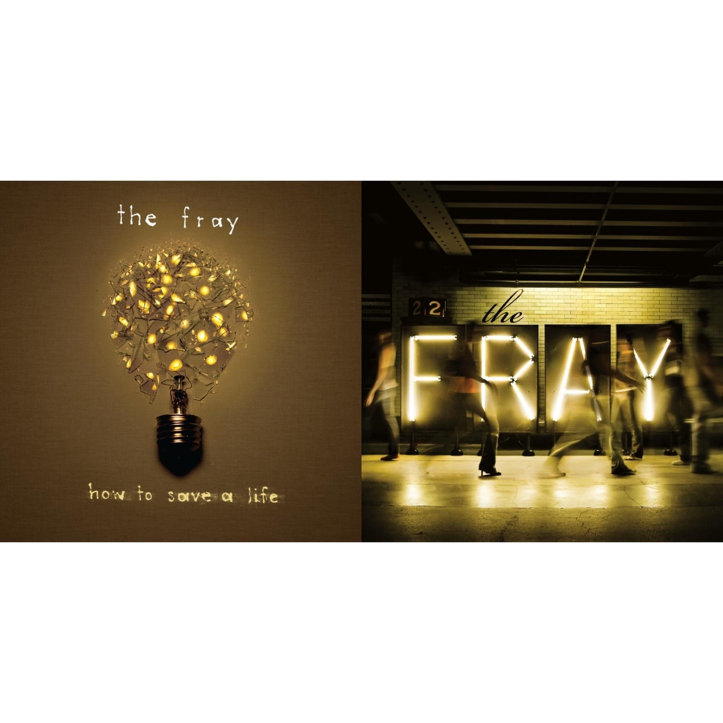 Fray - How To Save A Life & Fray - LP Vinyl Bundle