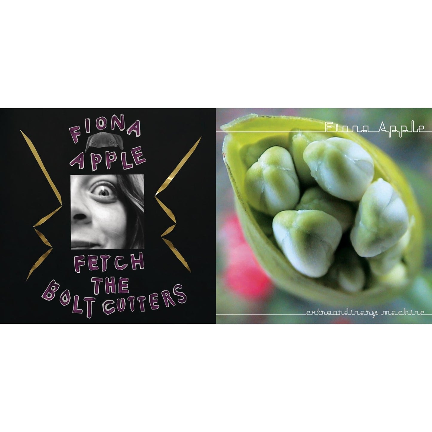 Fiona Apple - Fetch The Bolt Cutters & Extraordinary Machine - CD Bundle
