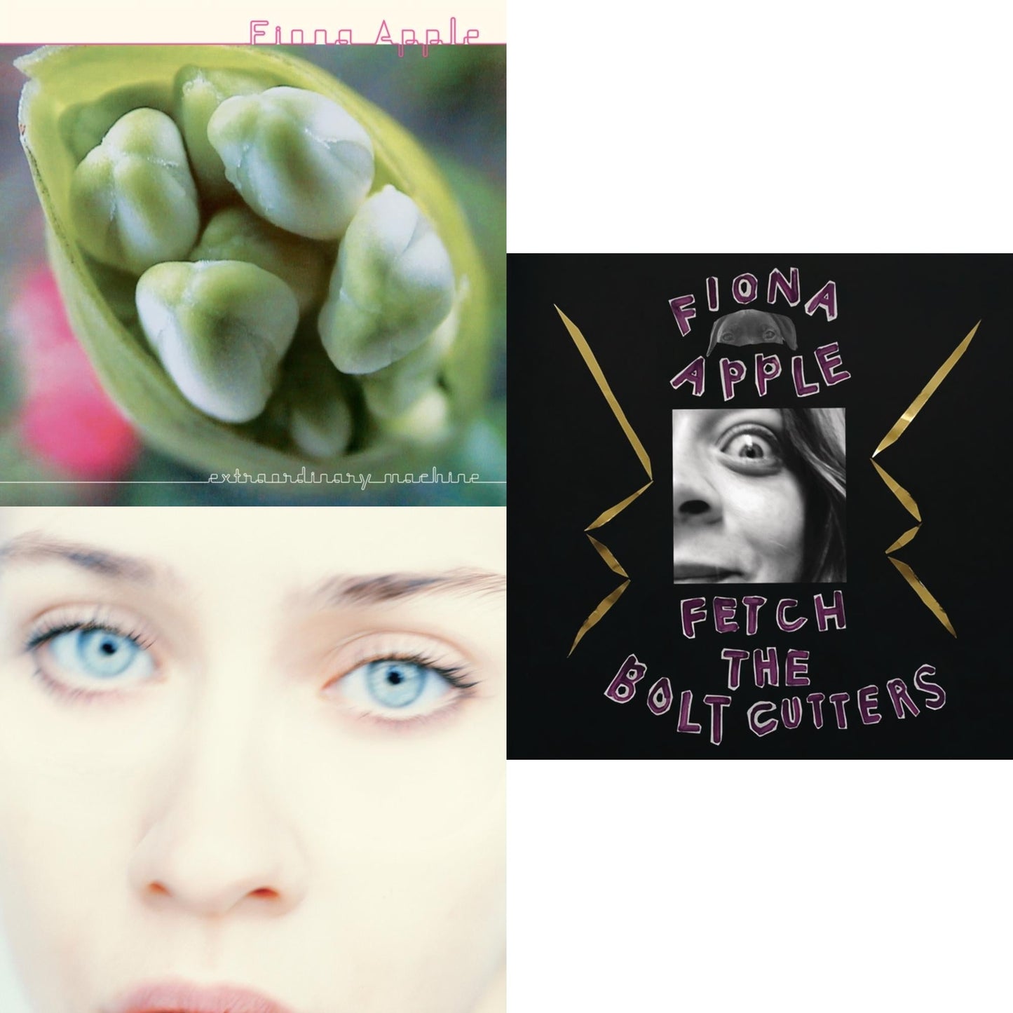 Fiona Apple - Extraordinary Machines (2LP/180G) & Tidal (2LP/180G/45 RPM) & Fetch The Bolt Cutters (180G/2LP/Dl Insert)