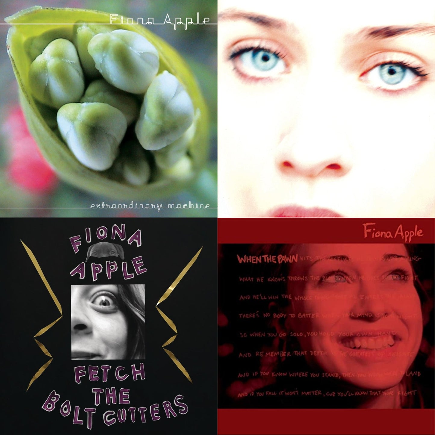 Fiona Apple - Fetch The Bolt Cutters & Extraordinary Machine & When The Pawn & Tidal - CD Bundle