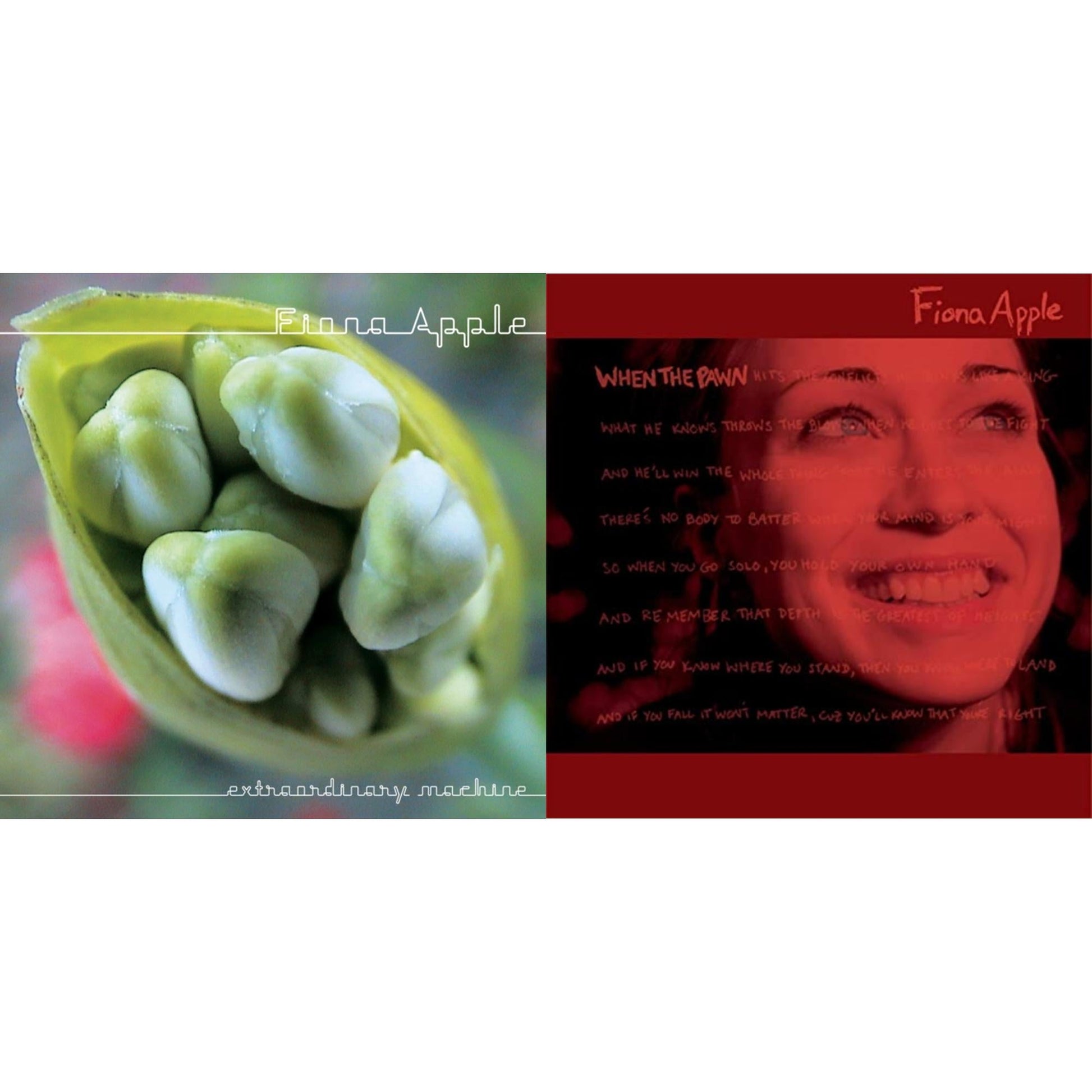 Fiona Apple - Extraordinary Machine & When The Pawn - CD Bundle