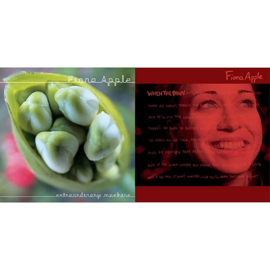 Fiona Apple - Extraordinary Machine & When The Pawn - CD Bundle