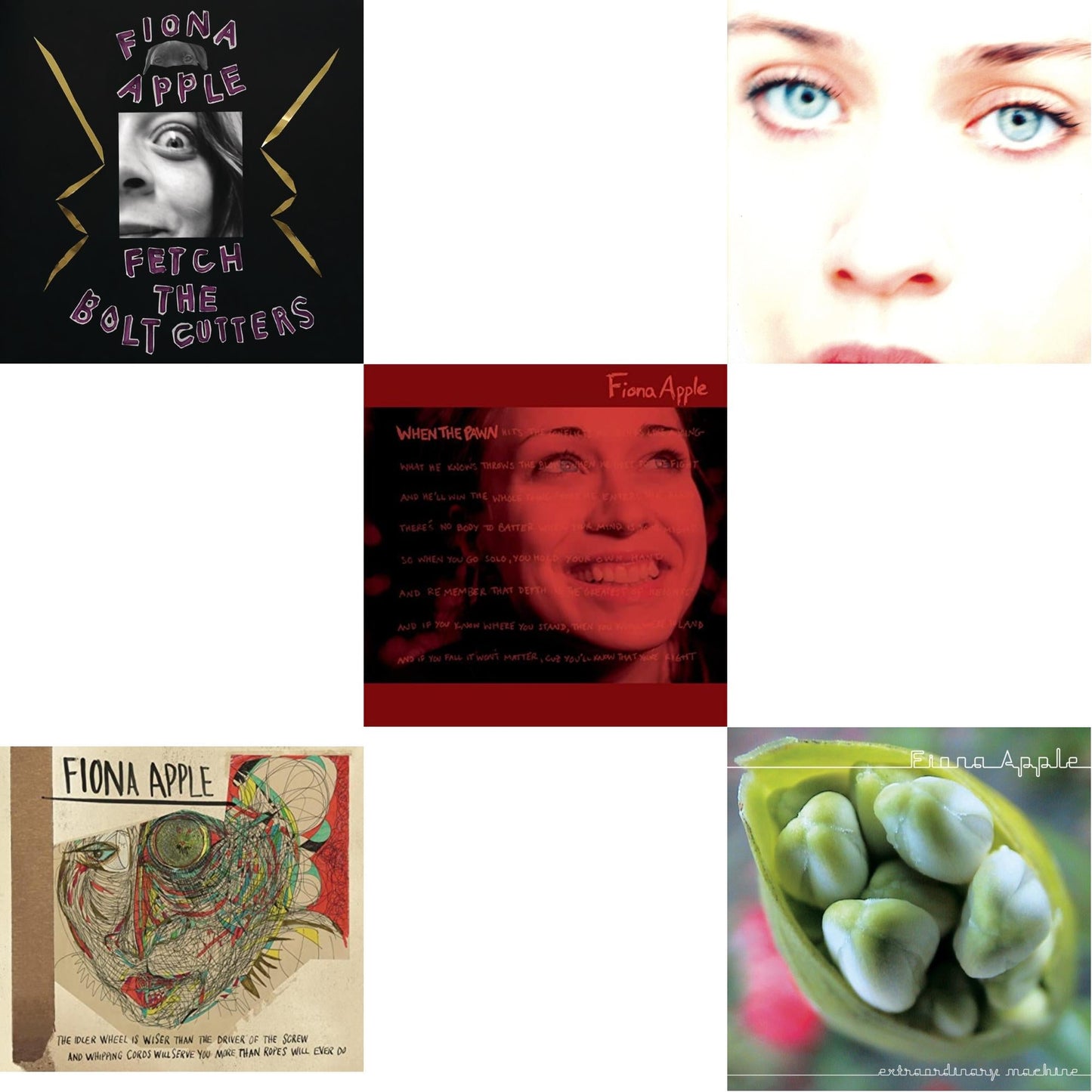 Fiona Apple - Fetch The Bolt Cutters & Idler Wheel Is Wiser Than The Driver & When The Pawn & Tidal & Extraordinary Machine - CD Bundle
