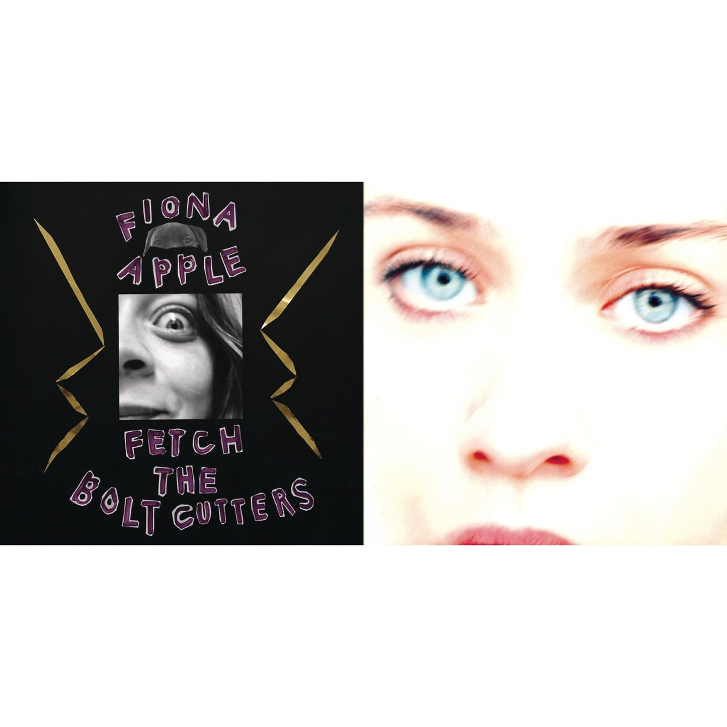 Fiona Apple - Fetch The Bolt Cutters & Tidal - CD Bundle