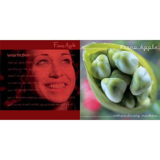 Fiona Apple - When The Pawn & Extraordinary Machine - CD Bundle