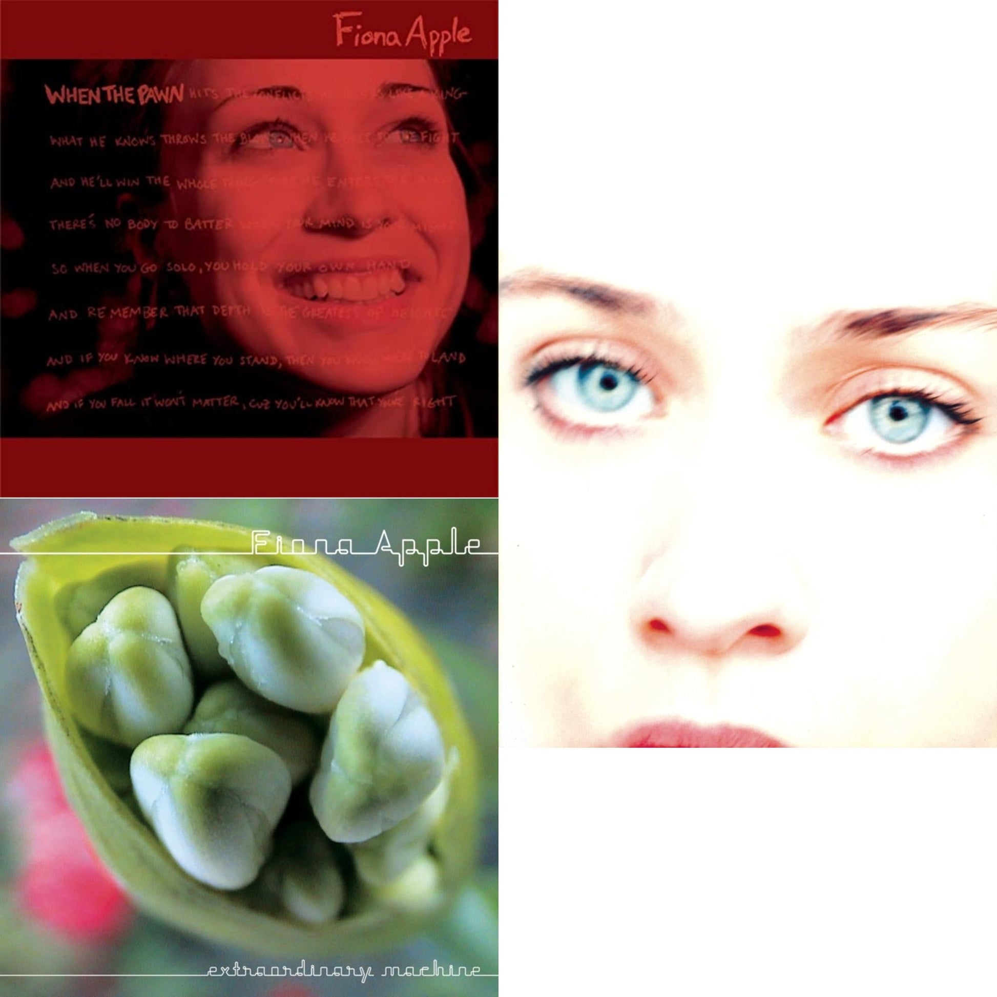 Fiona Apple - Extraordinary Machine & When The Pawn & Tidal - CD Bundle