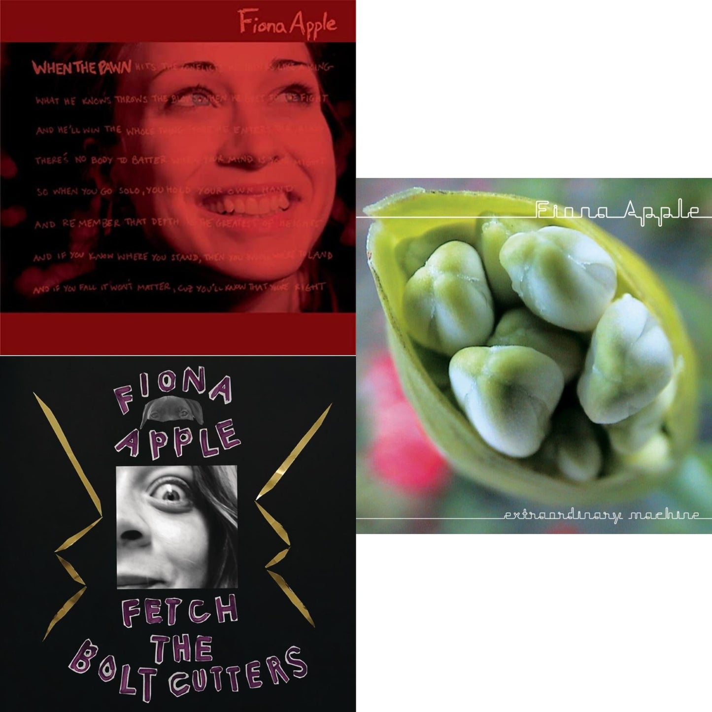 Fiona Apple - Fetch The Bolt Cutters & Extraordinary Machine & When The Pawn - CD Bundle