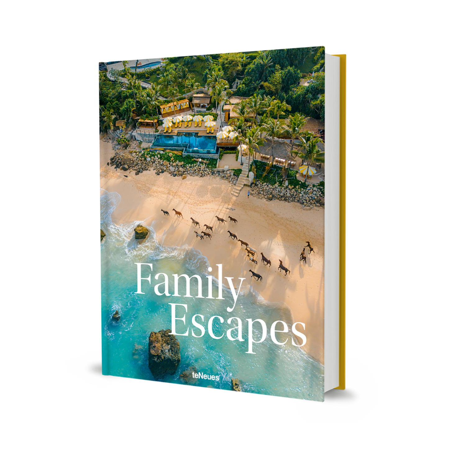 Family Escapes Book