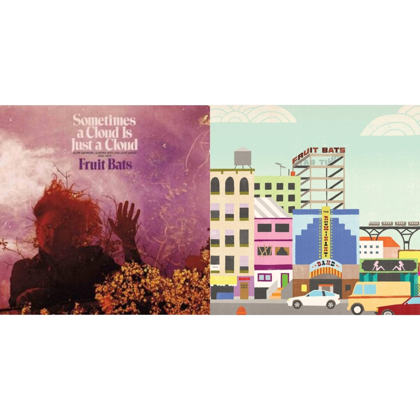 Fruit Bats - Ruminant Band (Pink LP Vinyl) & Sometimes A Cloud Is Just A Cloud: Slow Growers (2LP)
