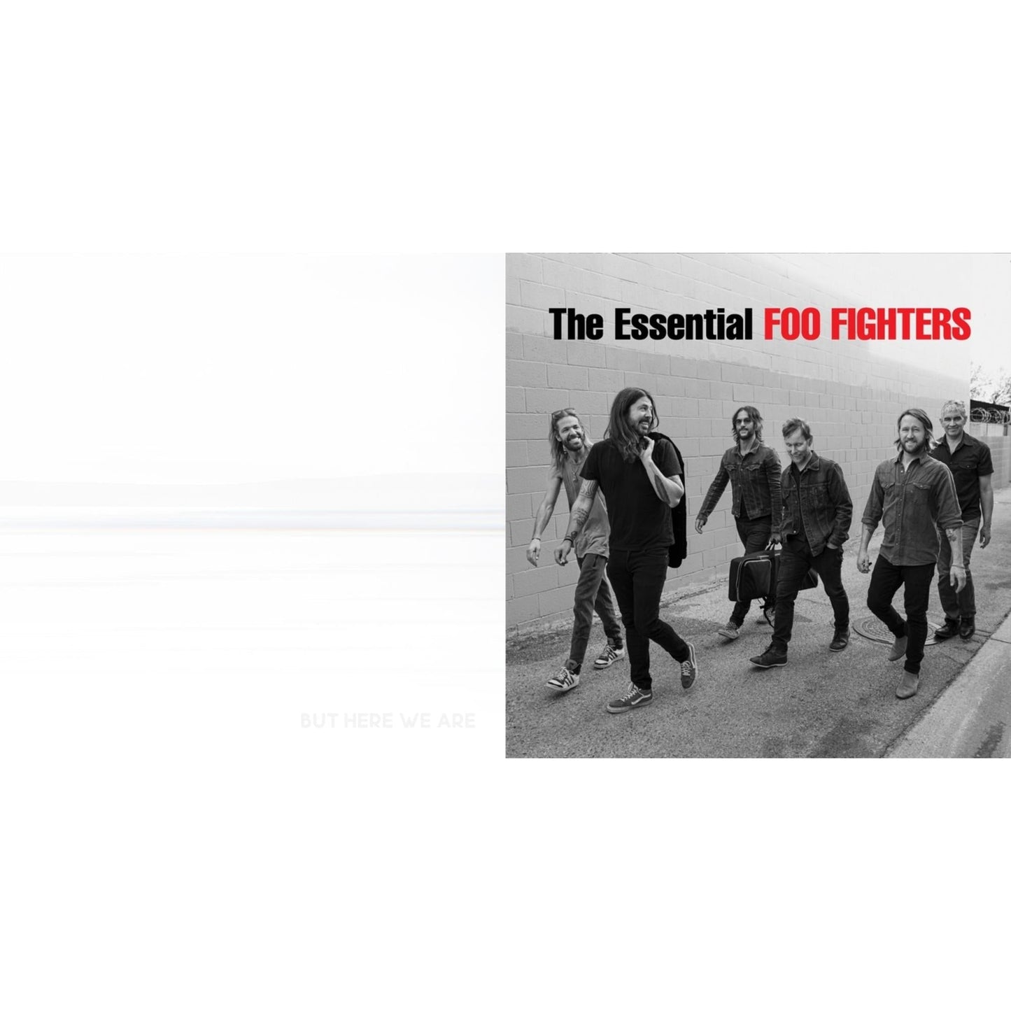 Foo Fighters - Essential Foo Fighters & But Here We Are - LP Vinyl Bundle