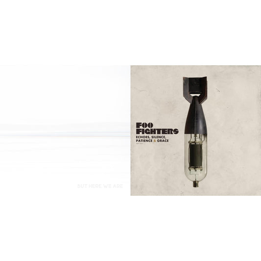 Foo Fighters - But Here We Are & Echoes Silence Patience & Grace - LP Vinyl Bundle