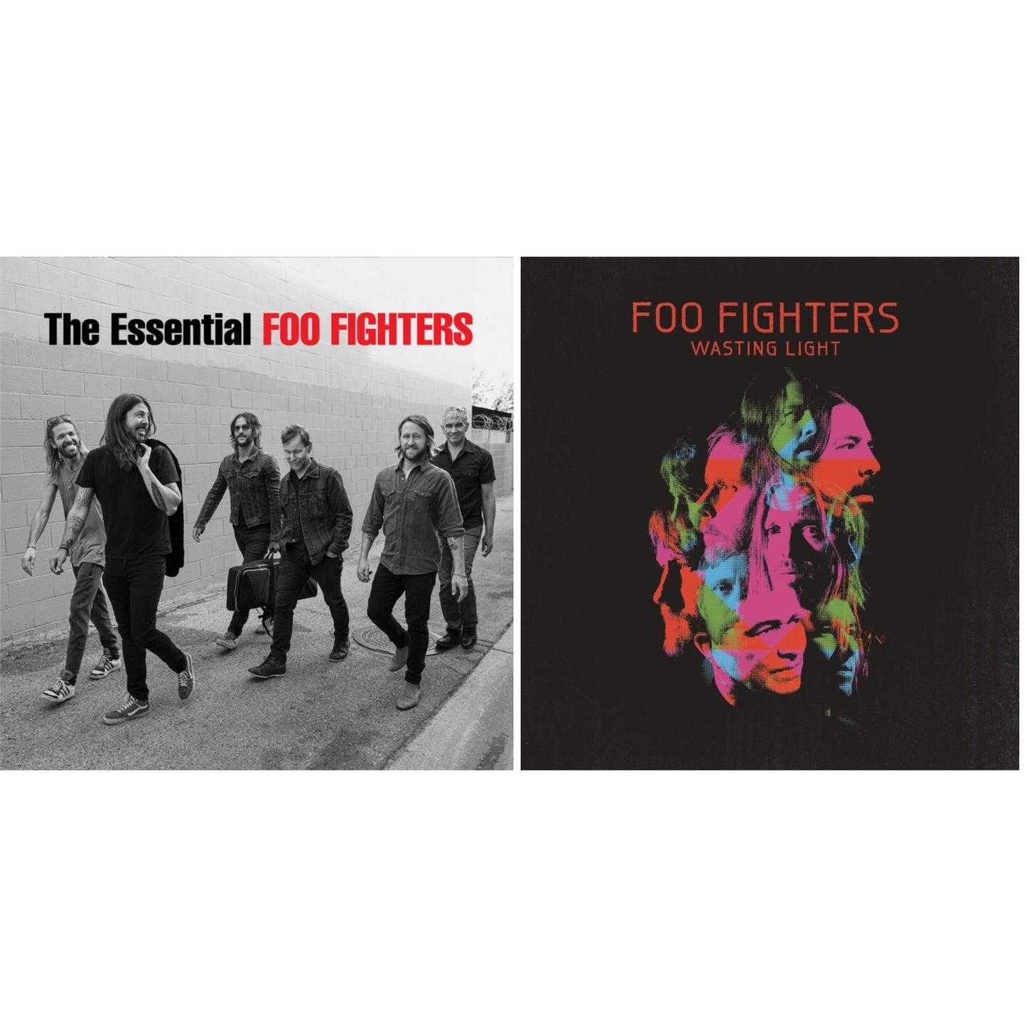 Foo Fighters - Essential Foo Fighters & Wasting Light (2LP/Dl Card/Gatefold)