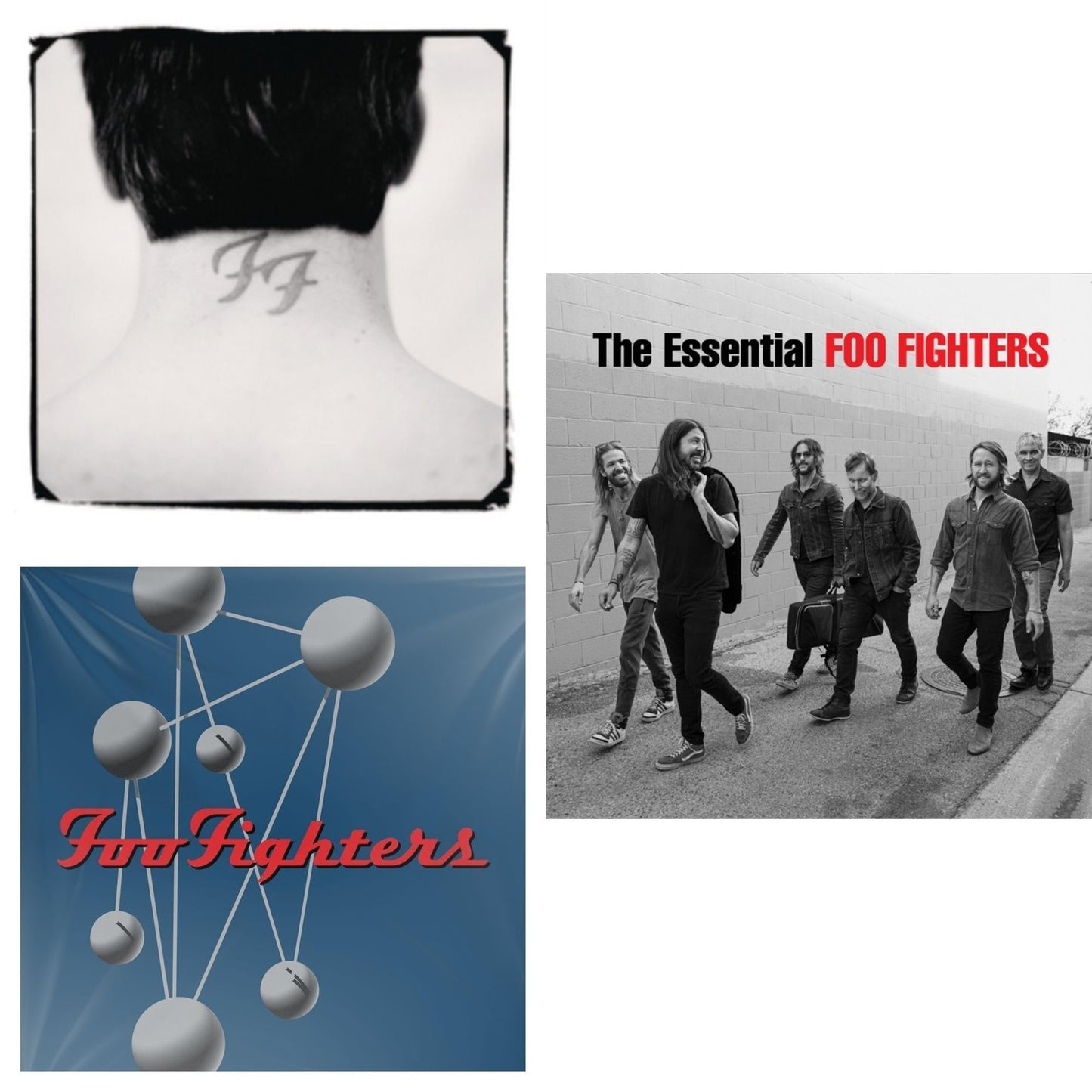 Foo Fighters - There Is Nothing Left To Lose (2LP/Dl Card) & Colour & The Shape (2LP/Dl Card) & Essential Foo Fighters