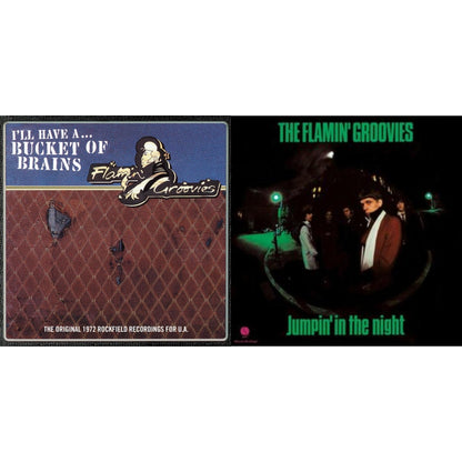 Flamin' Groovies - Bucket Of Brains & Jumpin' In The Night (180G) - LP Vinyl Bundle