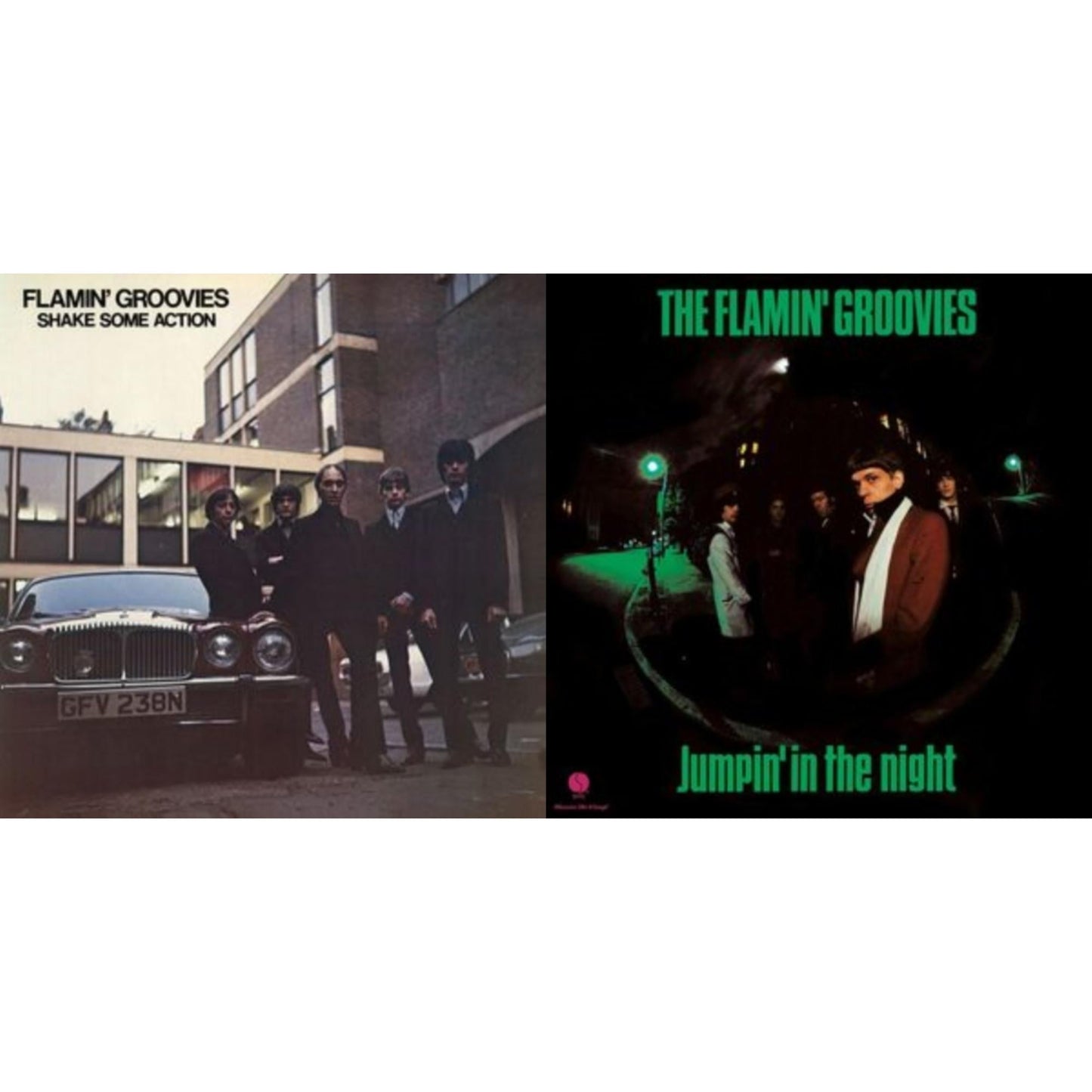 Flamin' Groovies - Shake Some Action (Burnt Orange LP Vinyl) (Ams Exclusive) & Jumpin' In The Night (180G)