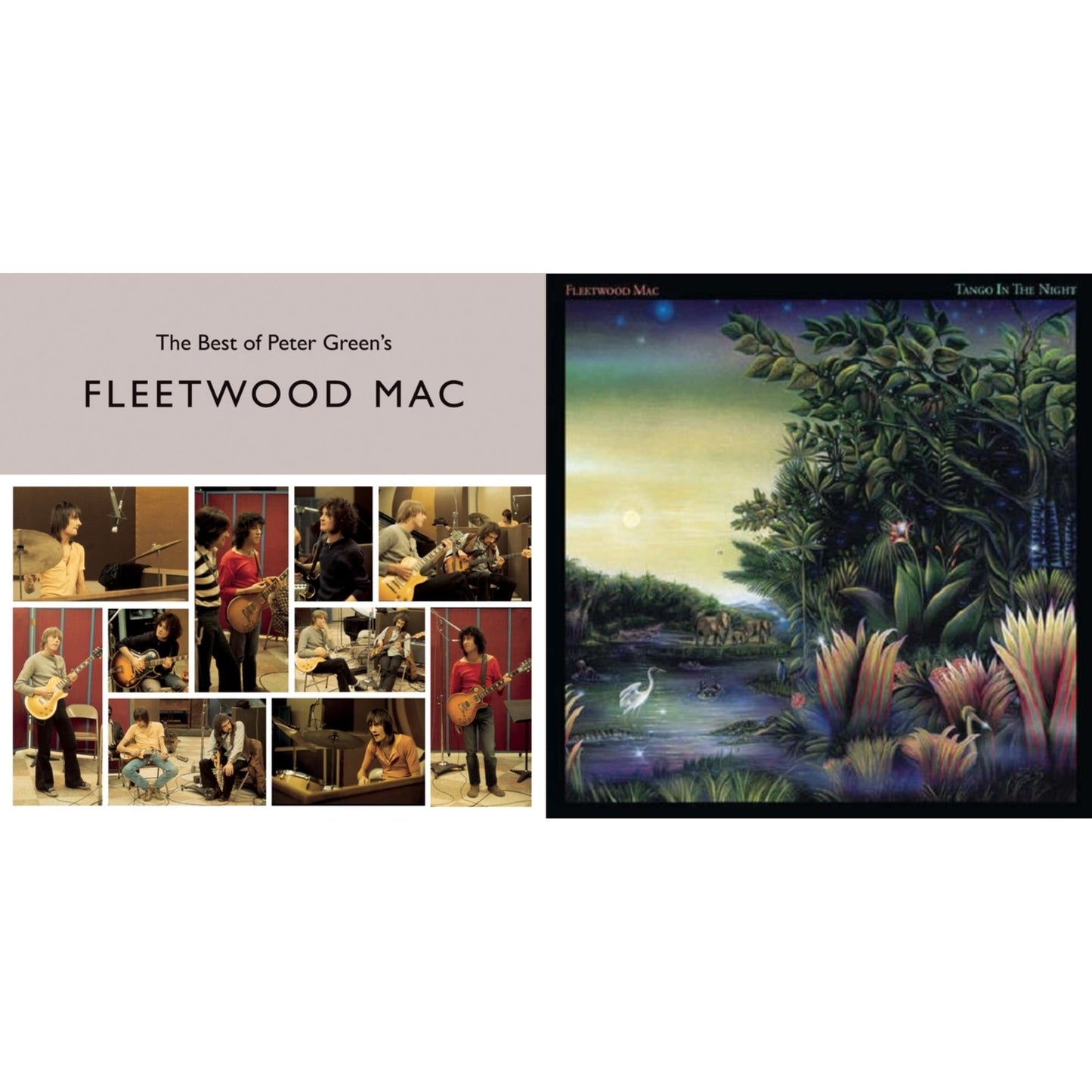 Fleetwood Mac - Tango In The Night & Best Of Peter Green's Fleetwood Mac (2LP/140G)