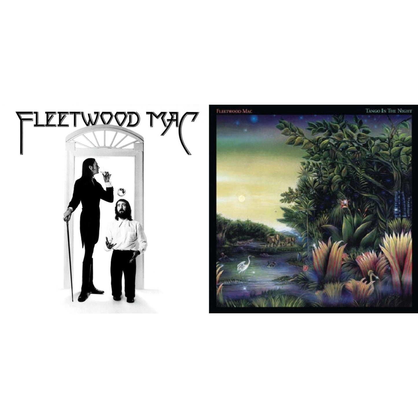 Fleetwood Mac - Fleetwood Mac & Tango In The Night - LP Vinyl Bundle
