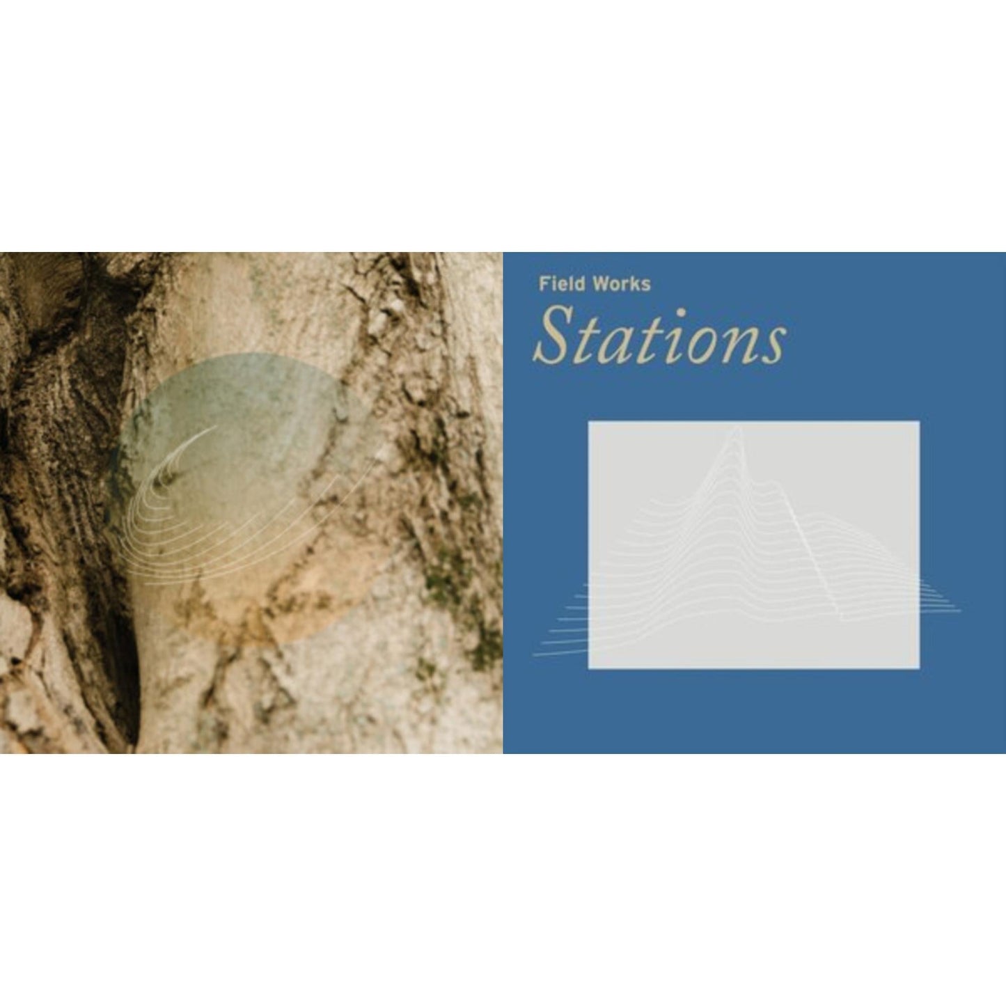 Field Works - Maples Ash & Oaks: Cedars Instrumentals (Iridescent Mother Of Pearl W/ Green Undertone) & Stations - LP Vinyl Bundle