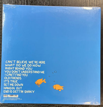 MASCIS, J - What Do We Do Now (Color Vinyl) LP Record