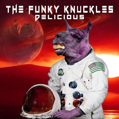 The Funky Knuckles – Delicious Music CD