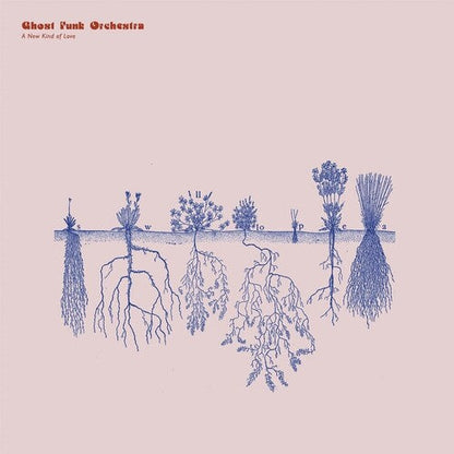 A New Kind Of Love (Transparent Clear Red Vinyl, Indie Exclusive) Vinyl Record