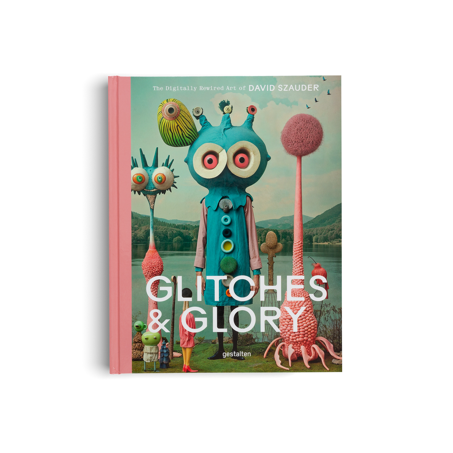 Glitches & Glory Book