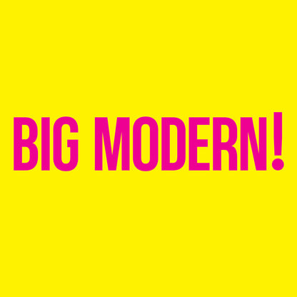 Goose – Big Modern (2-LP Vinyl) Vinyl Record