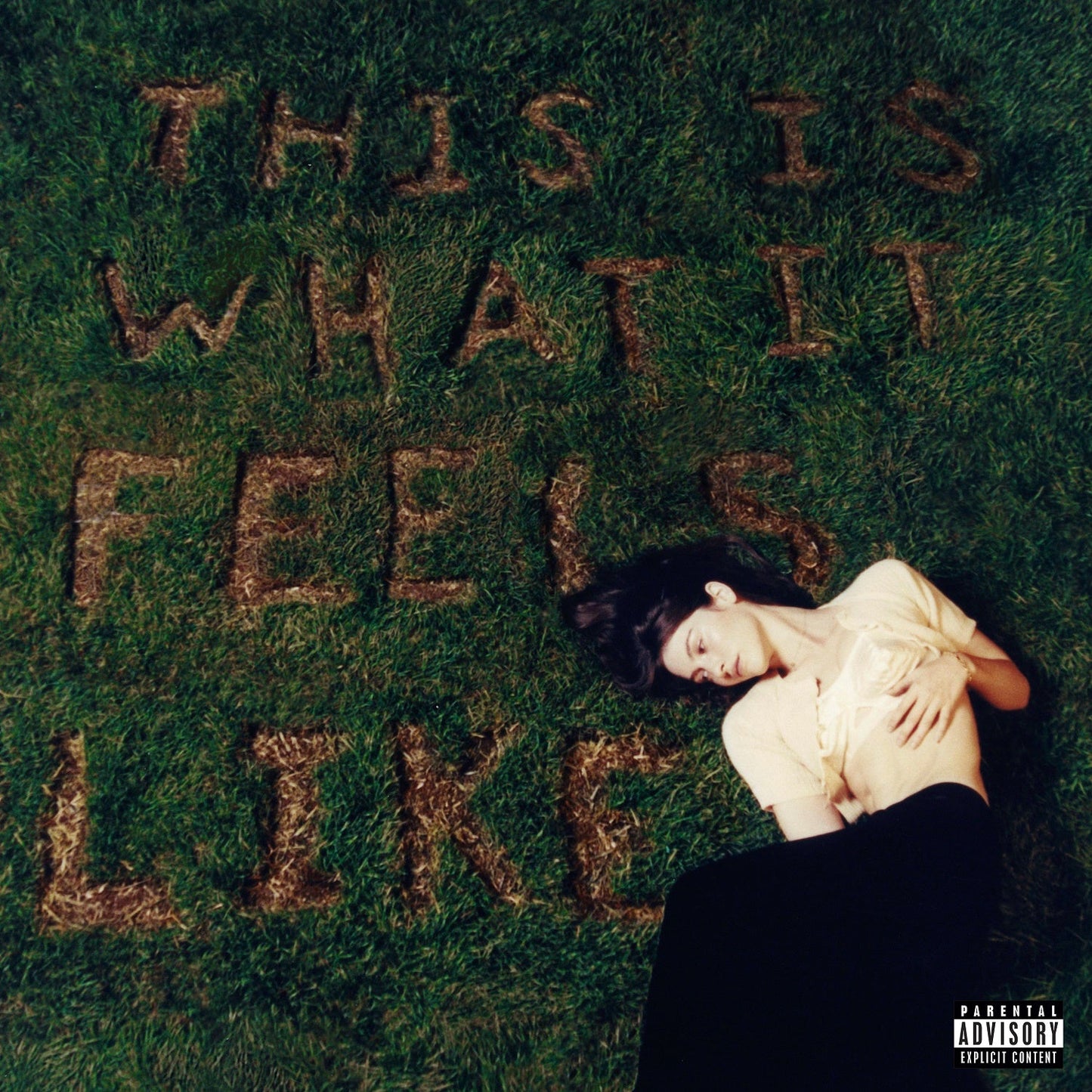 This Is What It Feels Like [LP] [Vinyl] Vinyl Record